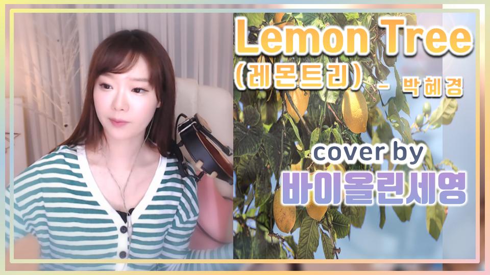 박혜경 - Lemon Tree(레몬트리)[Cover By 바이올린세영] | 아프리카Tv Vod