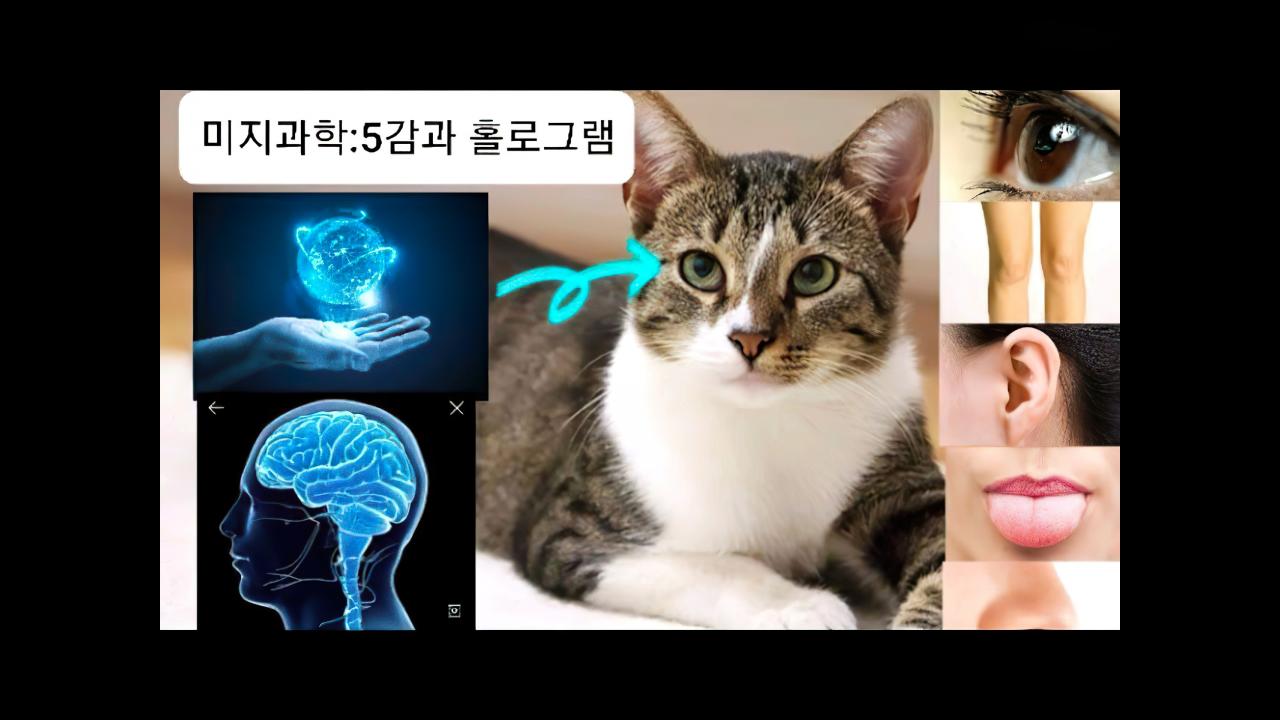 5감각(시각,촉감,청각,미각,후각)과 홀로그램 우주에대해 최초로 설명드리겠습니다. | SOOP VOD