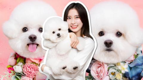 양팡♥ - 소금이랑 첫 프로필 사진을 찍었어요!