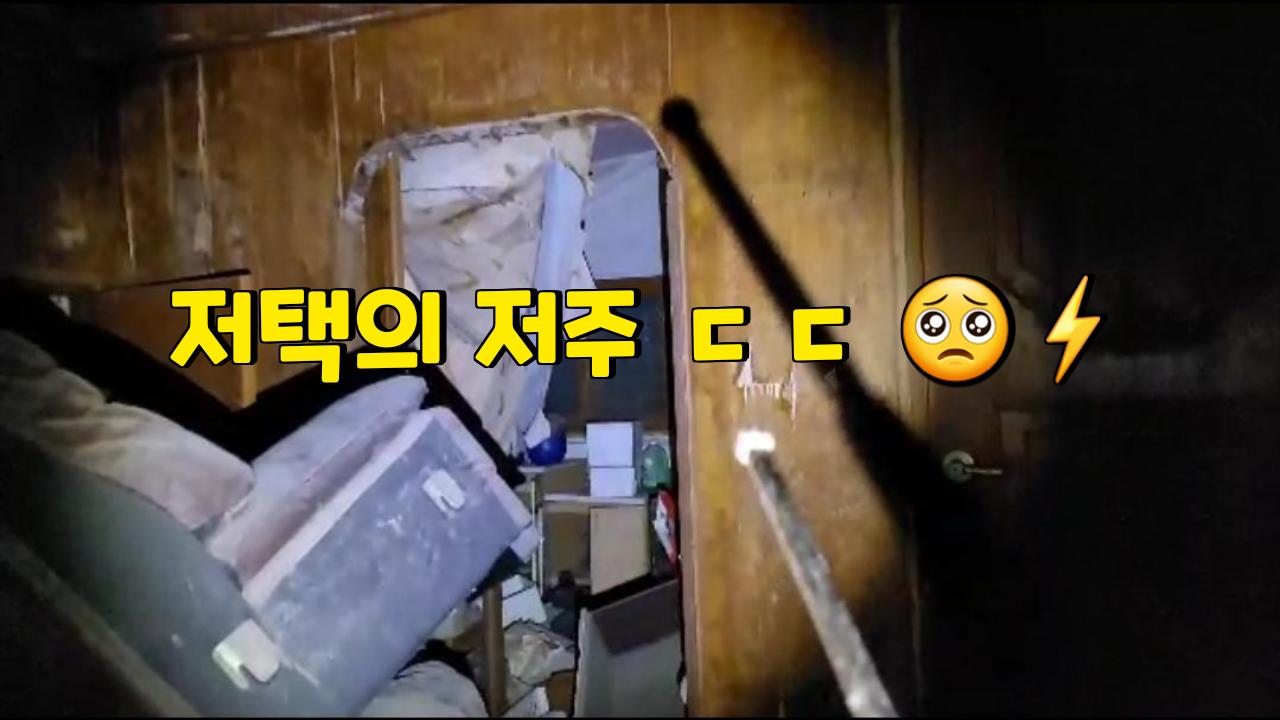 아프리카Tv 검색