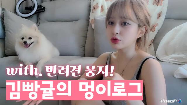 Bj김빵귤 'S Blog | Afreecatv